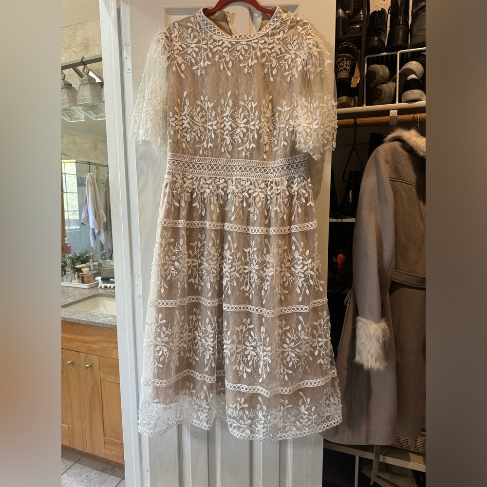 Ivy City cream and nude overlay dress.  Beautiful lacework!